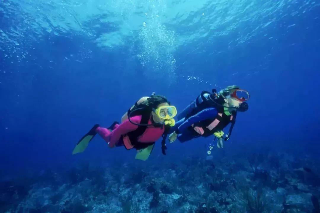 全民烧脑3去广告版