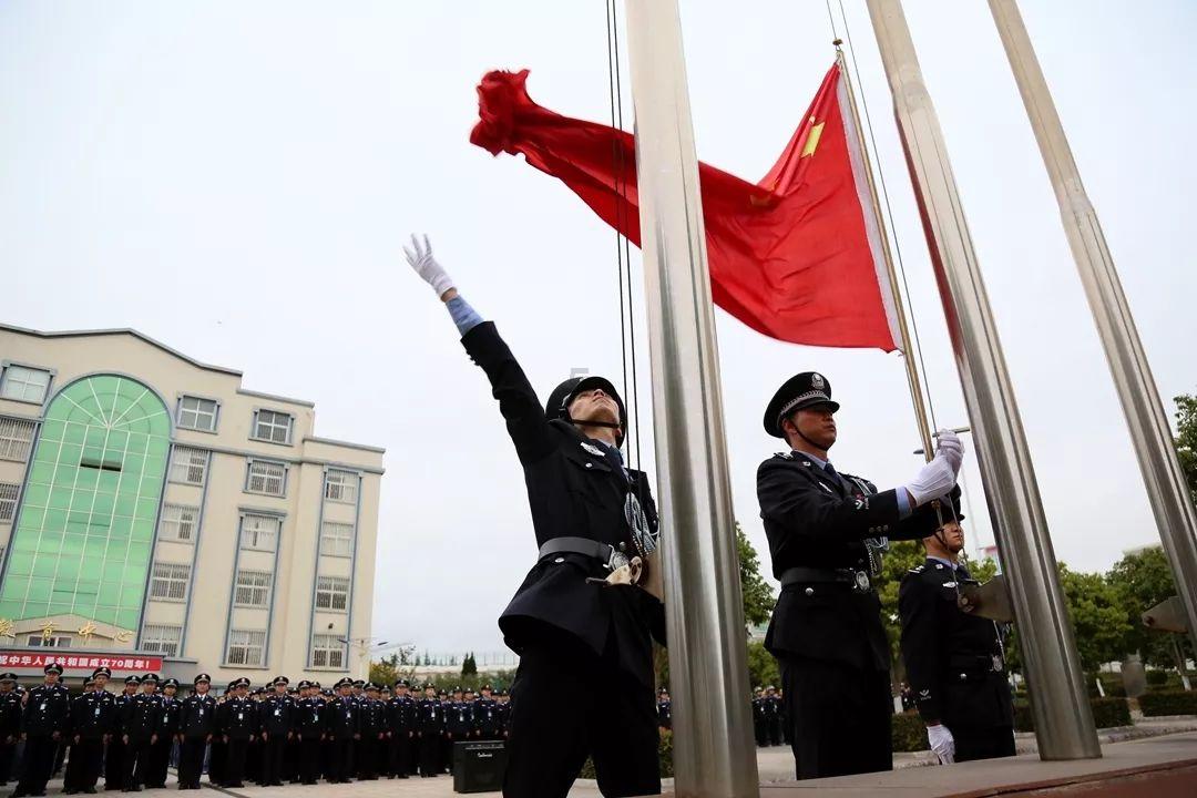 虫虫助手下载